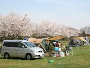 成田ゆめ牧場 ファミリーオートキャンプ場の写真2
