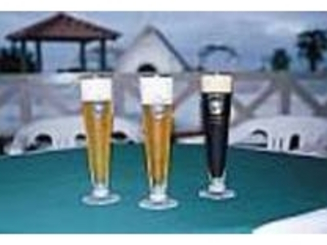 喉越し、キレのいい地ビールで乾杯!_土佐黒潮麦酒工房