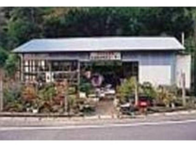 店の前では植木のほか山野草なども販売_四方木販売センター