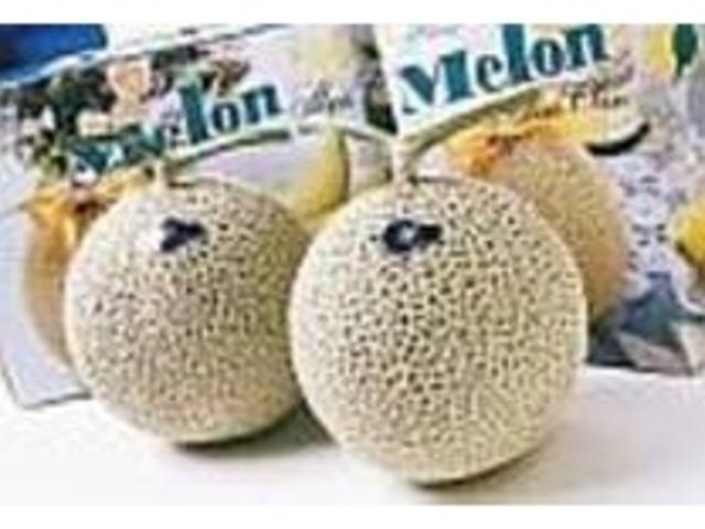 メロンは食べる2時間ほど前に冷やすのが○_南張メロン 川口農園