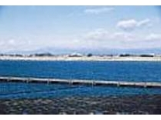 おだやかな水域は利根川のもう一つの顔_利根大堰