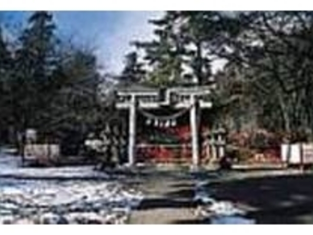 徳川ゆかりの世良田東照宮は日光から移築_太田市歴史公園