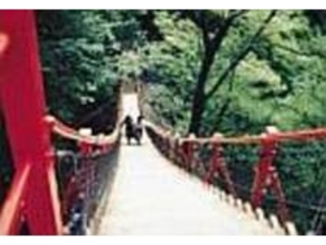 スリル満点の「けさかけ橋」にチャレンジ_大滝・けさかけ橋