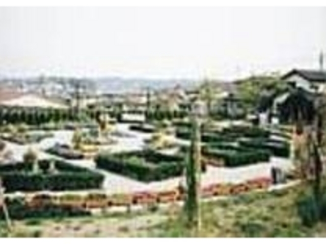 週末には地元をはじめ遠方からの人で賑わう_メディカルハーブガーデン 生活の木 薬香草園