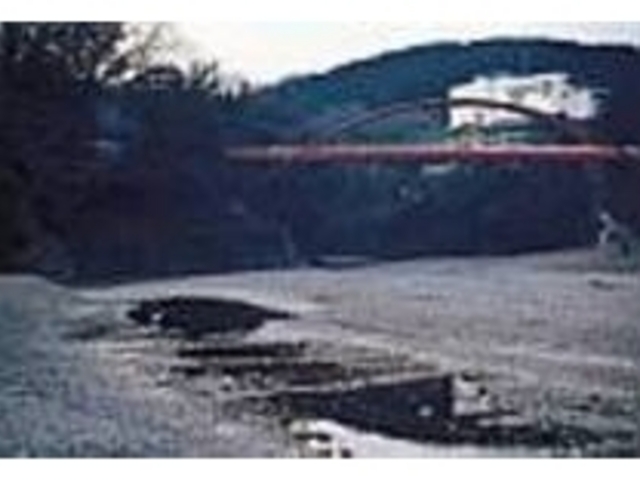 風情ある赤い割岩橋。河原には白サギも!_飯能河原