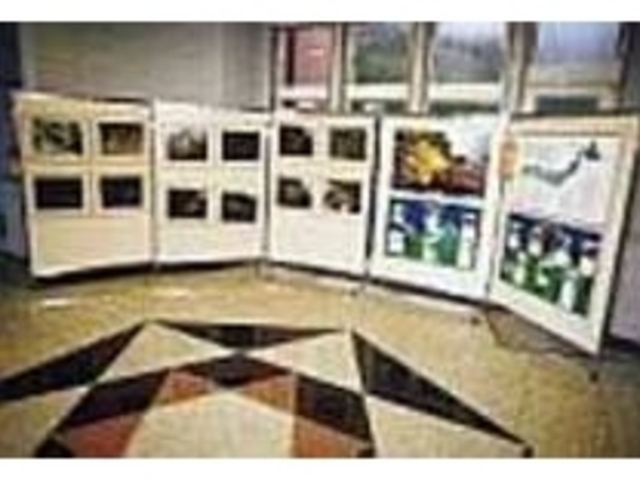 ホタルづくしのパネル展示も見応え十分_出の山名水ホタル館