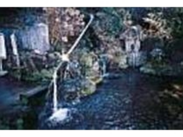 この水でコーヒーを淹れても美味しい_霧島神社
