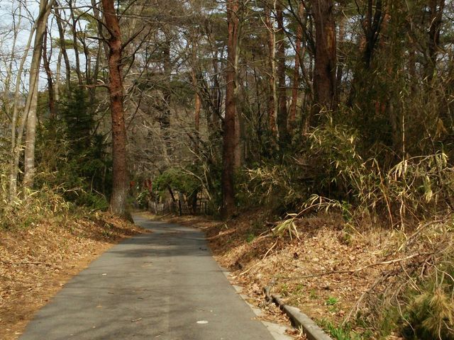 散策に疲れたら東屋でひと休みしよう_みちのく真野万葉植物園