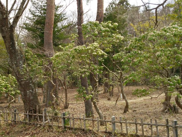 みちのく真野万葉植物園