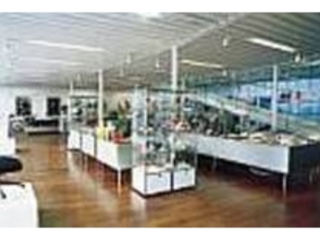 店内には常時100脚以上の椅子がある_hhstyle.com 原宿本店