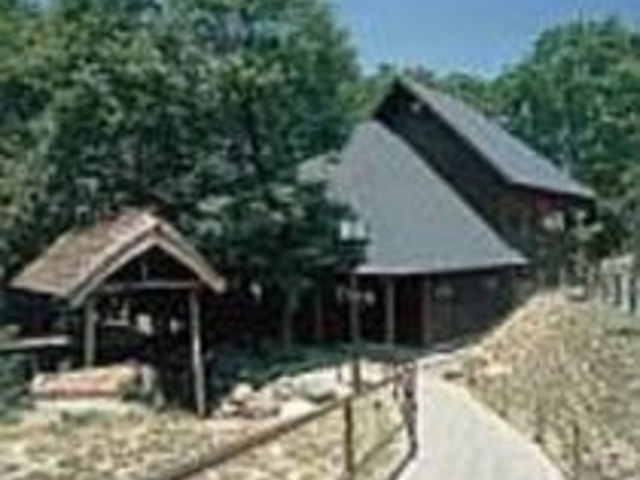 山里の雰囲気がたっぷりの水車小屋_そば処 みゆき庵