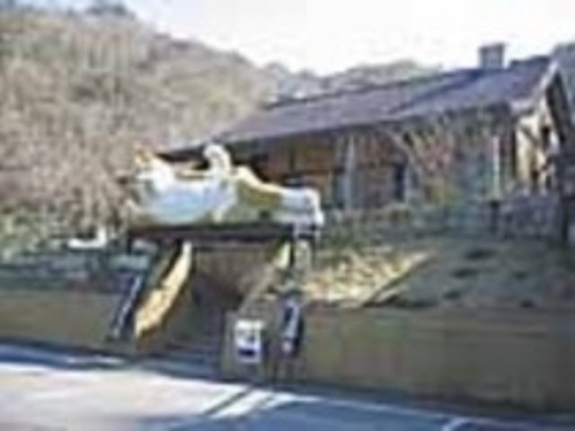 世界一の涅槃招き猫(6m×2m)_Le どらねこ