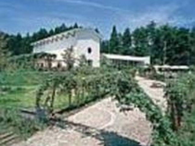 日本で初めて作られた地ビール発祥の地_エチゴビール・ブルーパブ
