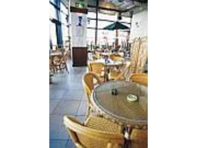 陽光射し込む明るい店内でひと息つこう!_中國茶藝館 フォルモサ 麗島