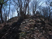 狐落城跡の写真2