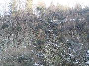 幻の滝 「樽滝」の写真3