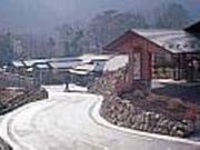 みかえりの郷の写真2