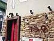 チャイニーズレストランTAOシアターの写真2