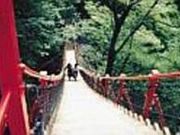 大滝・けさかけ橋の写真2