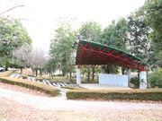 韮崎中央公園の写真3