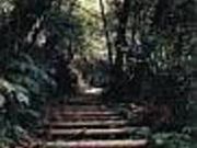 野鳥の森の写真2