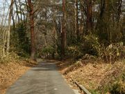 みちのく真野万葉植物園の写真2