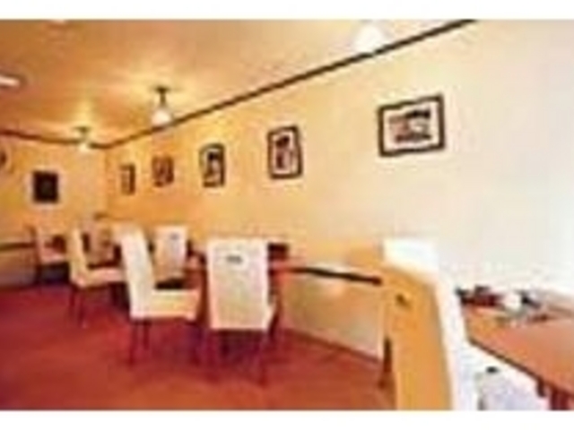 優しい雰囲気が漂う店内は長居する人が多い_お茶専門店 conayuki-tei