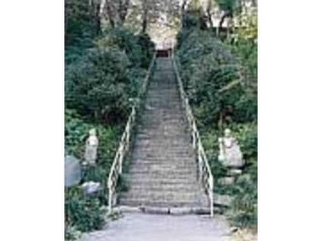 この石段を上って、法泉寺へ行こう_法泉寺