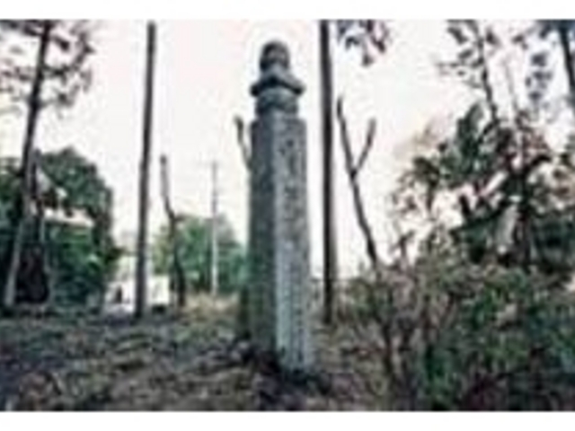 九度山町の慈尊院の裏手に百八十番目がある_町石道