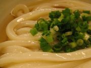 讃岐うどん いそやの写真1