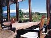 コケ・コッコーの写真2