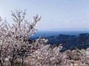 西山ピクニック緑地の写真2