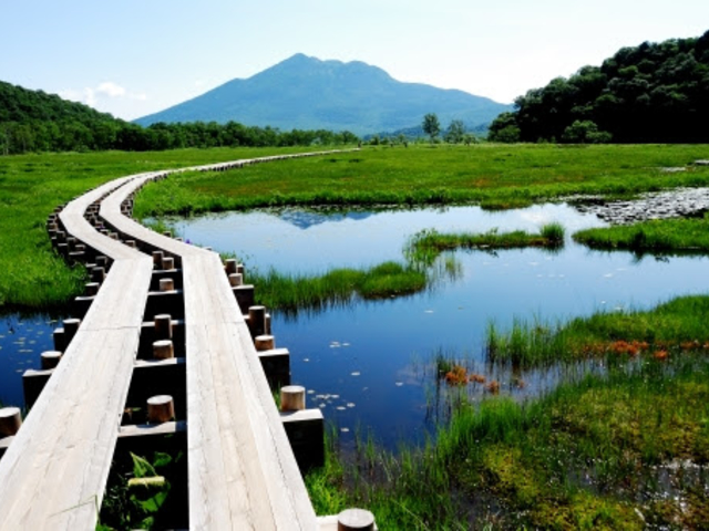 尾瀬国立公園 夏の尾瀬ヶ原_オウレット