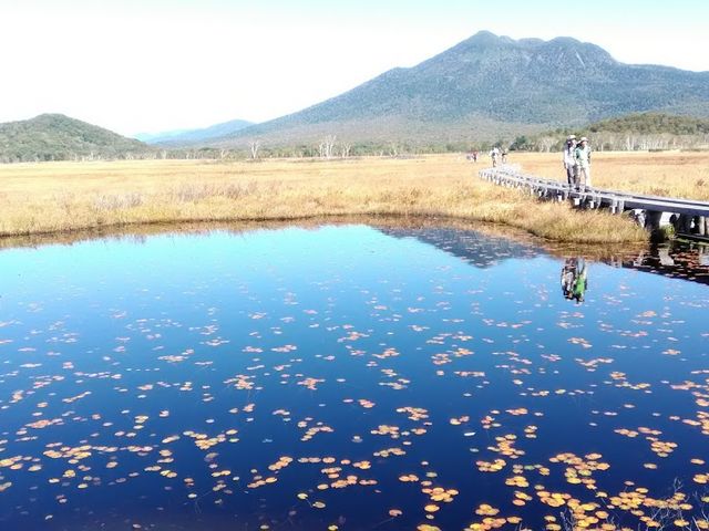 尾瀬国立公園 秋の尾瀬ヶ原_オウレット