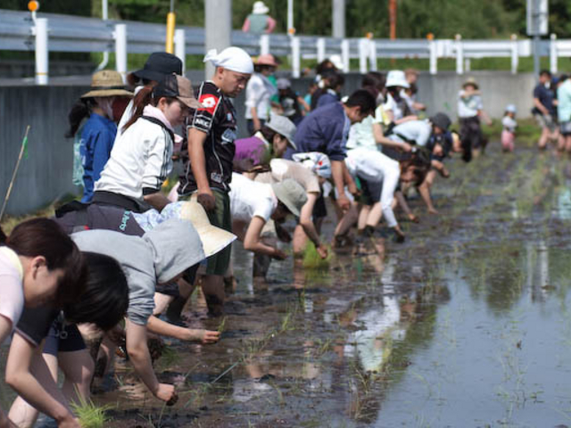 1日160名様まで。社員研修、福利厚生、スポーツクラブ、各種学校など団体のご利用も多数頂いております。4月中〜5月末_田舎日記