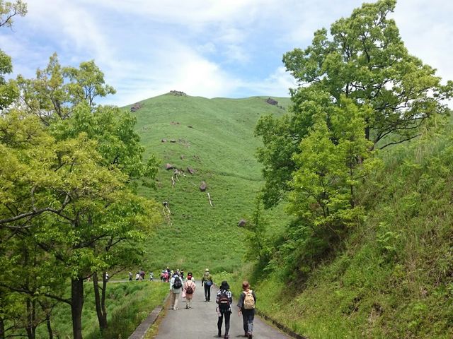 新緑の頃の平野台_ASOVO(Aso Sports and Outdoor Visit Offsider)