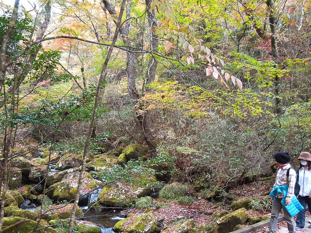筑後川の源流を渡って恋人たちの丘へ_ASOVO(Aso Sports and Outdoor Visit Offsider)