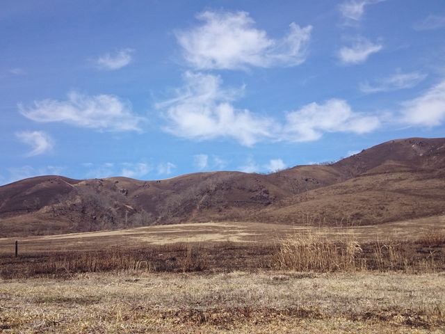 野焼き後の平野台_ASOVO(Aso Sports and Outdoor Visit Offsider)