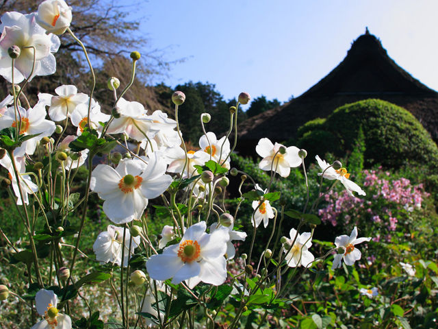秩父宮記念公園