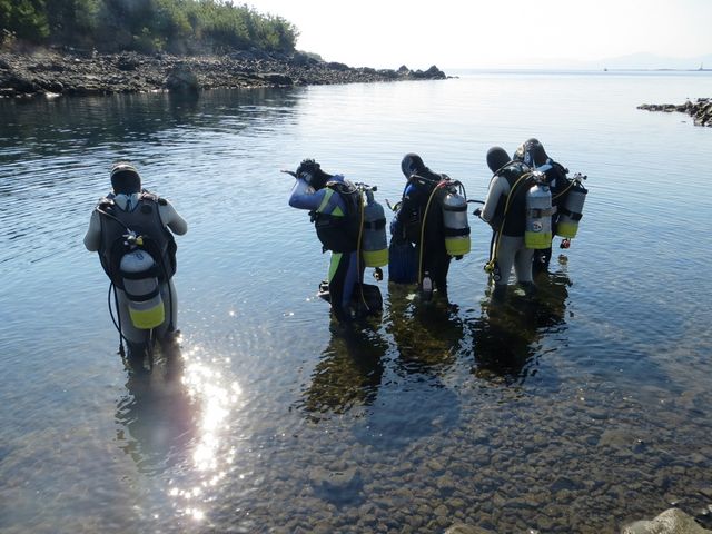 桜島ケイレ湾_アクアトリップダイビング