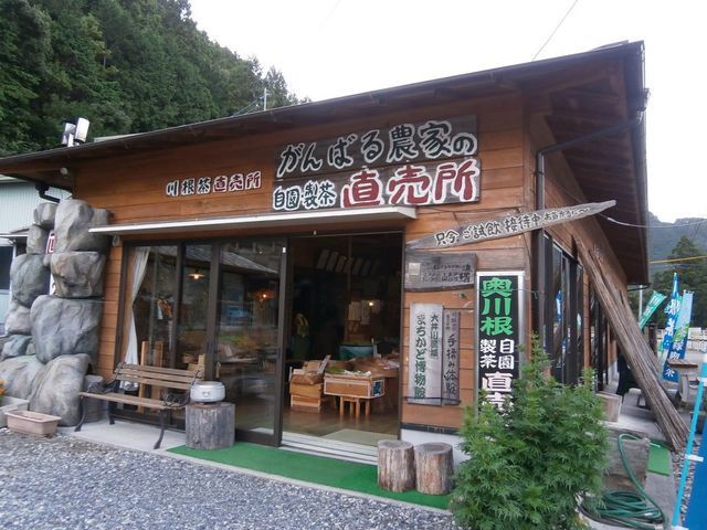 山香荘茶園
