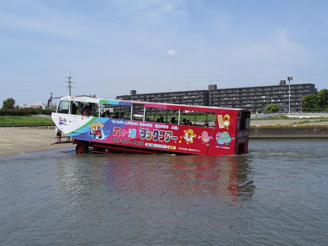 霞ヶ浦ダックツアー