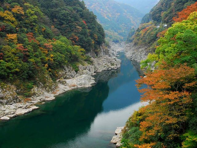 遍路そば 祖谷手打そば道場