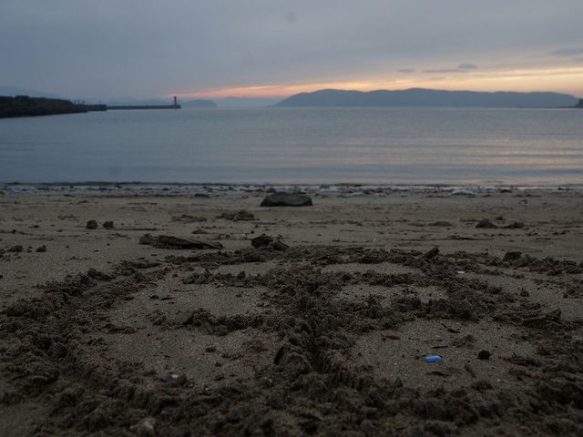 海・遊びリゾート加太海岸