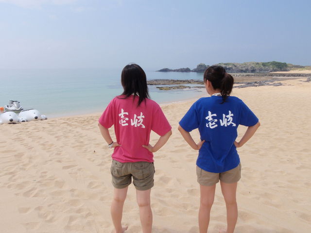 シーガルイン