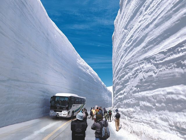 立山黒部アルペンルート_北陸探訪(地域・観光マネジメント)