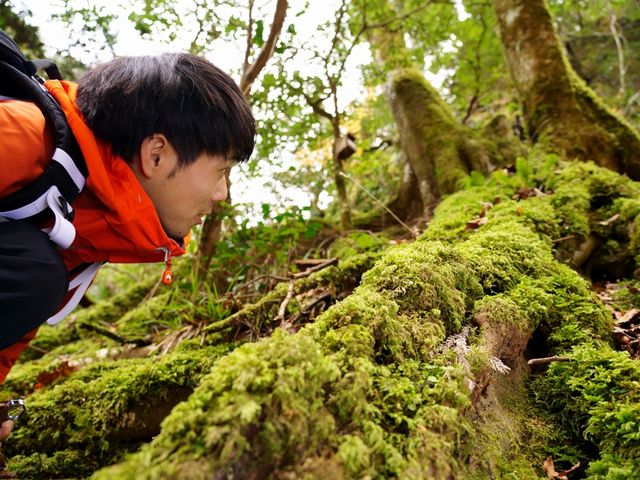 赤目四十八滝 エコツアーデスク