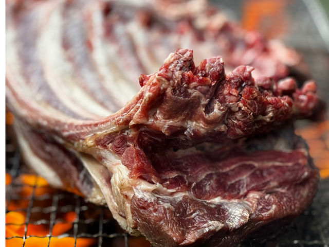 超本格的ワイルドジビエ解体体験!!! 骨付き肉のまま豪快炭火焼き!_海山自然体験セミナーハウスハンターズイン