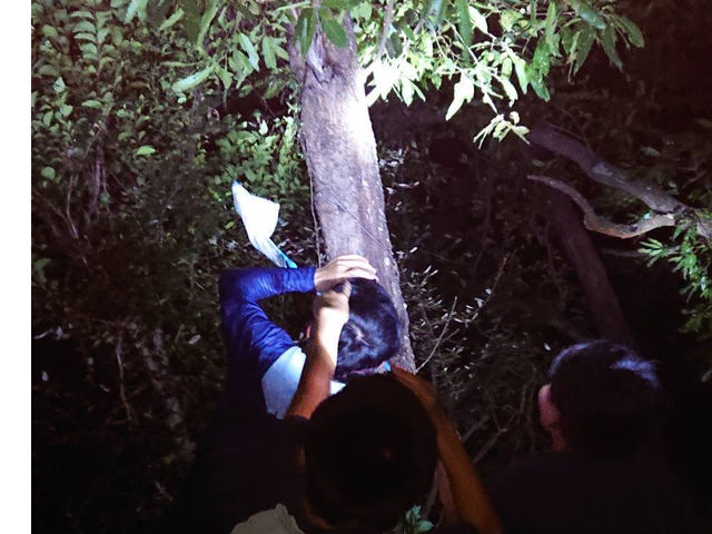 男の子の冒険心☆全開だー!昆虫ハンター夏の人気ナイトツアー☆_海山自然体験セミナーハウスハンターズイン