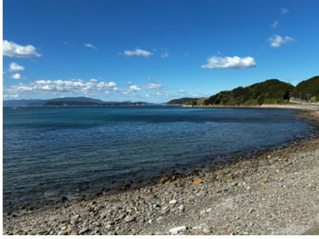 ハンターズイン体験の磯には生き物たちがたくさんいるよ!_海山自然体験セミナーハウスハンターズイン